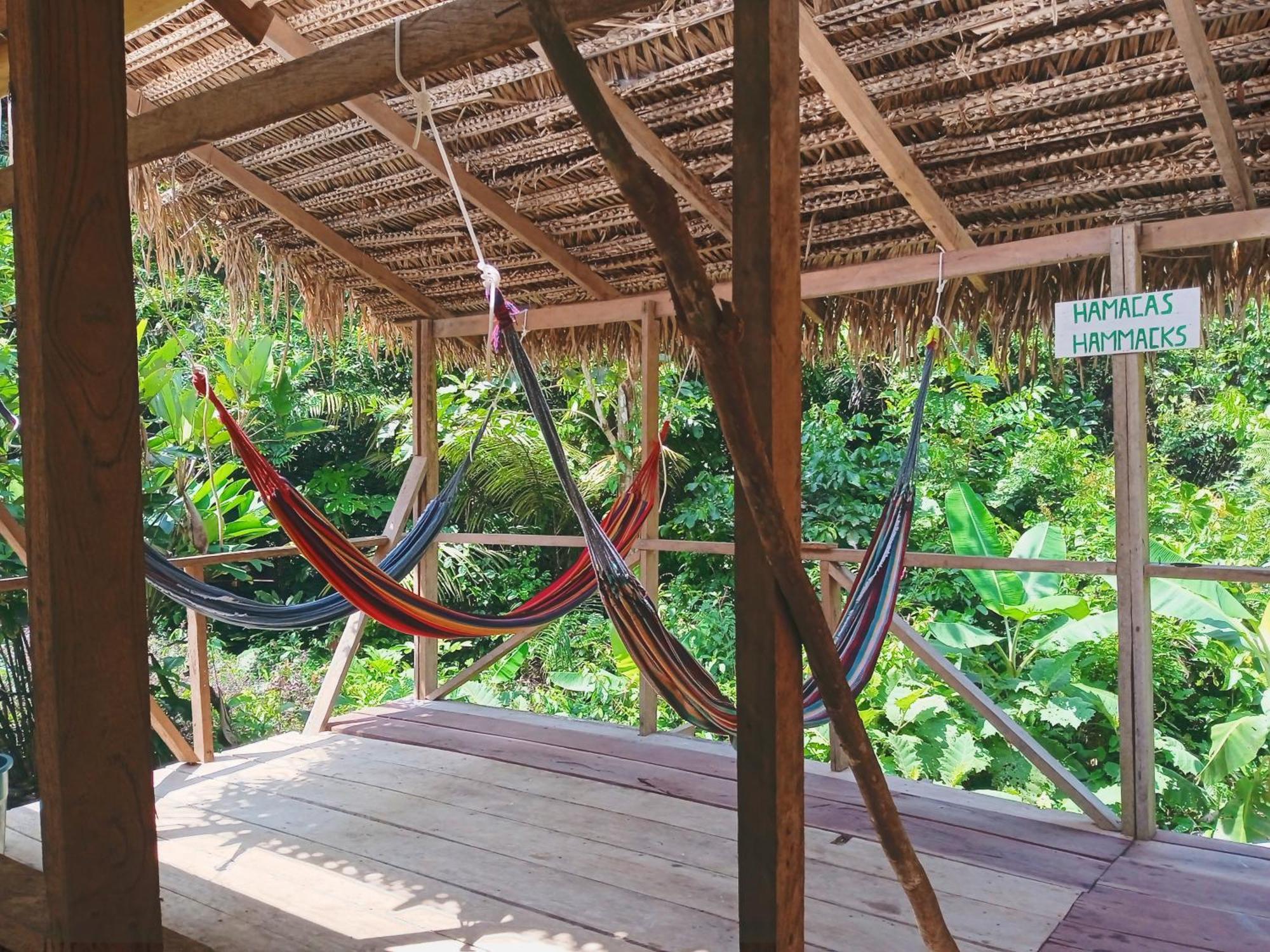 Cabanas Eco Logicas Mu'Ue Loreto Mocagua المظهر الخارجي الصورة