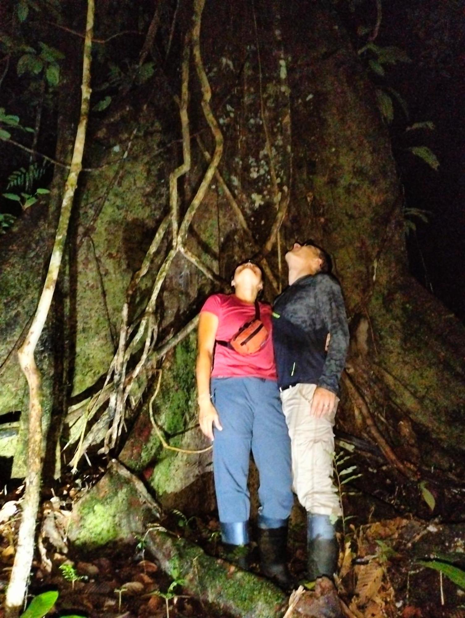 Cabanas Eco Logicas Mu'Ue Loreto Mocagua المظهر الخارجي الصورة